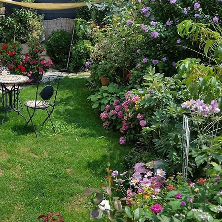 Ferienwohnung Am Berg, 35Qm Rickenbach  Dış mekan fotoğraf