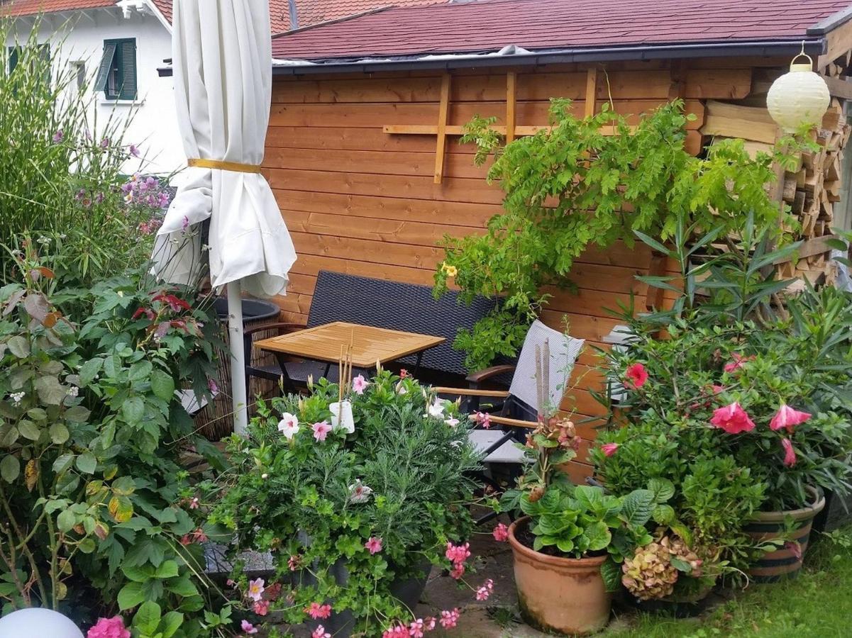 Ferienwohnung Am Berg, 35Qm Rickenbach  Dış mekan fotoğraf