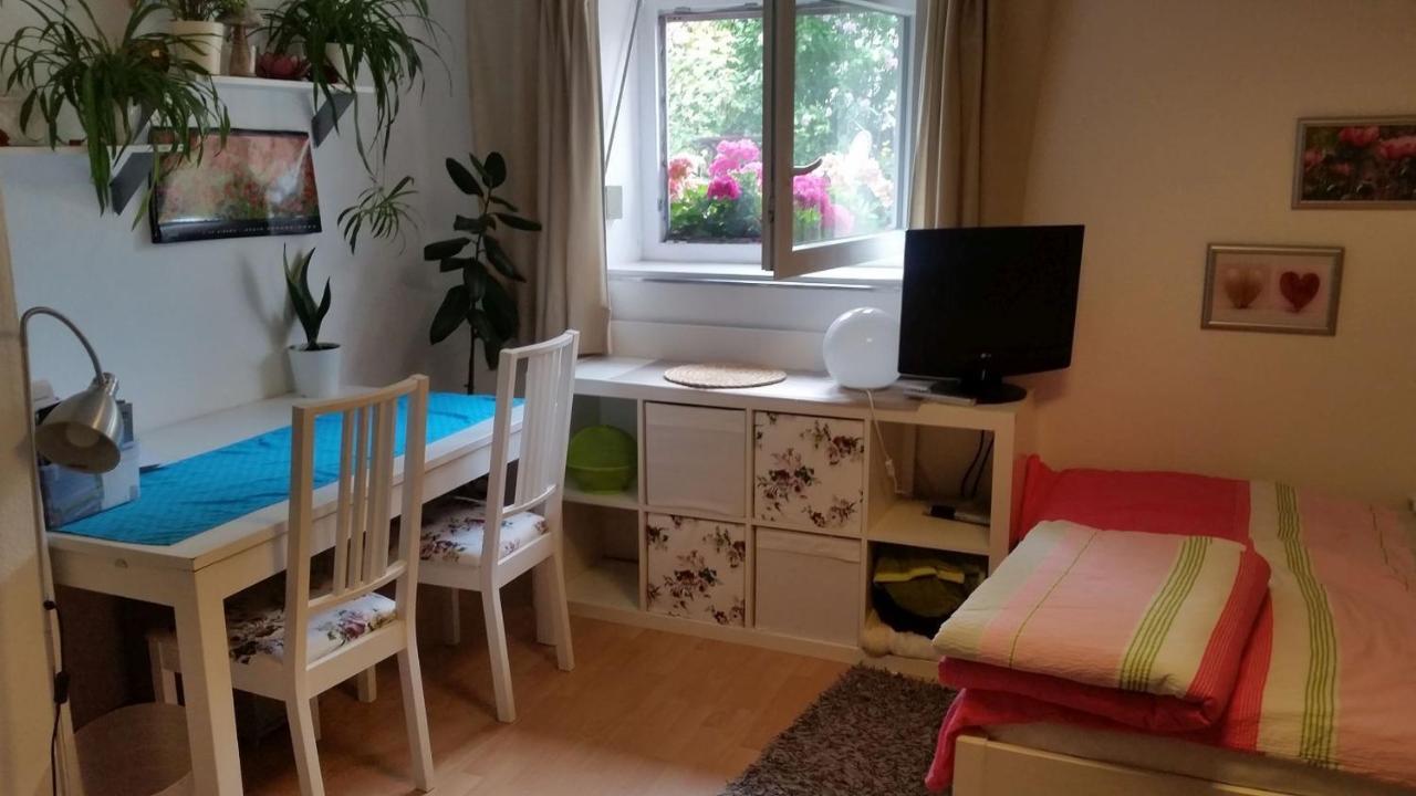 Ferienwohnung Am Berg, 35Qm Rickenbach  Dış mekan fotoğraf