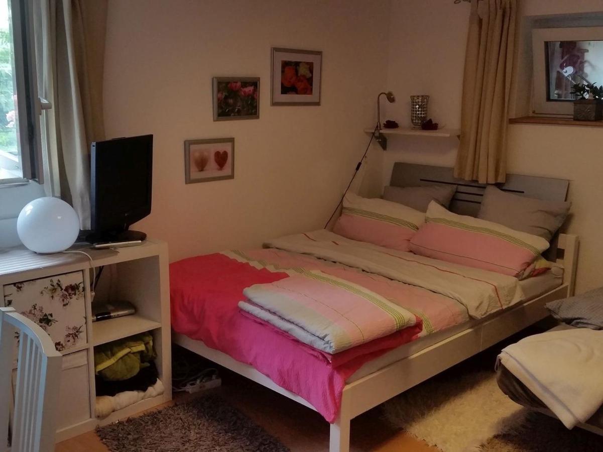Ferienwohnung Am Berg, 35Qm Rickenbach  Dış mekan fotoğraf