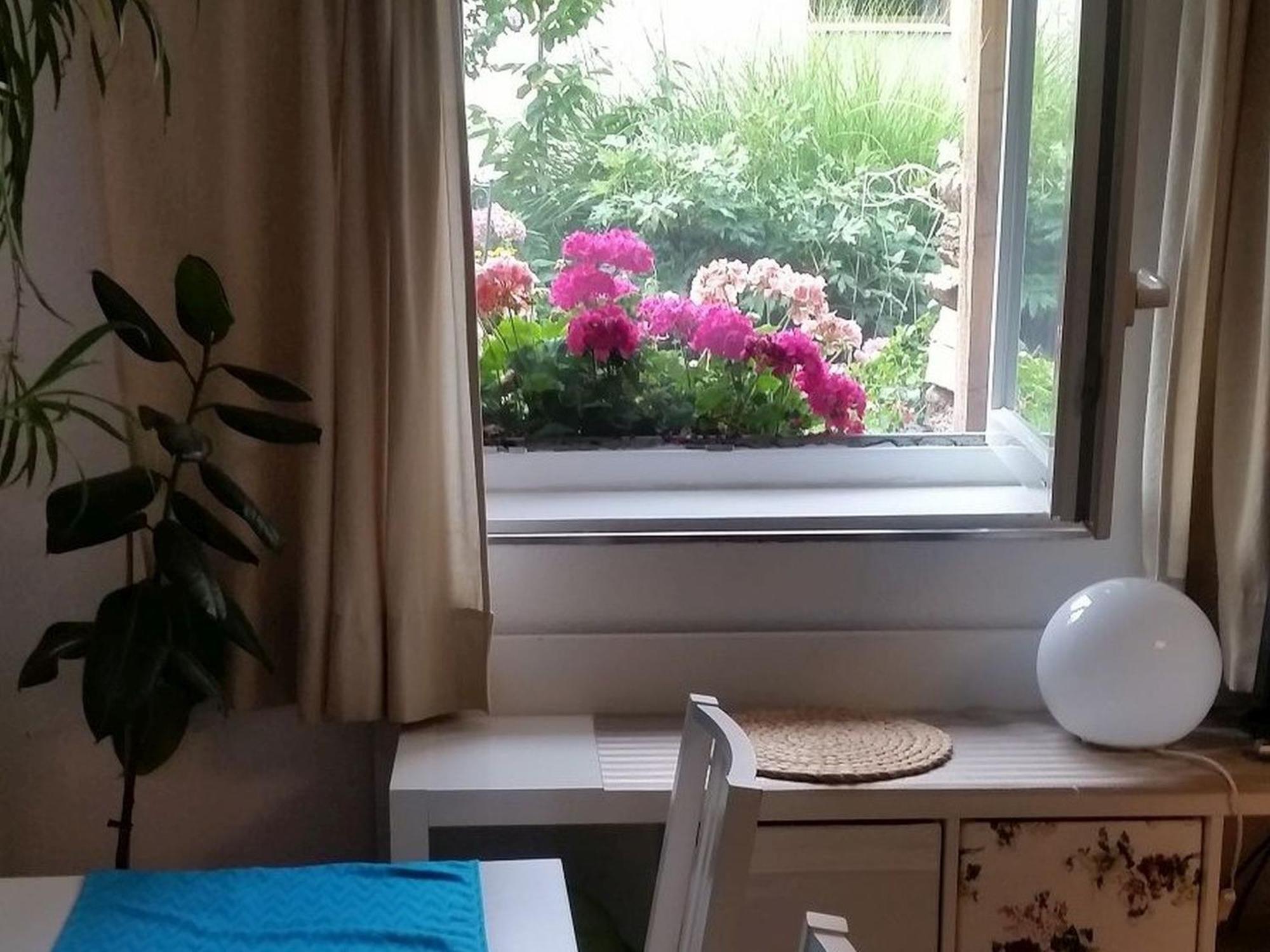 Ferienwohnung Am Berg, 35Qm Rickenbach  Dış mekan fotoğraf
